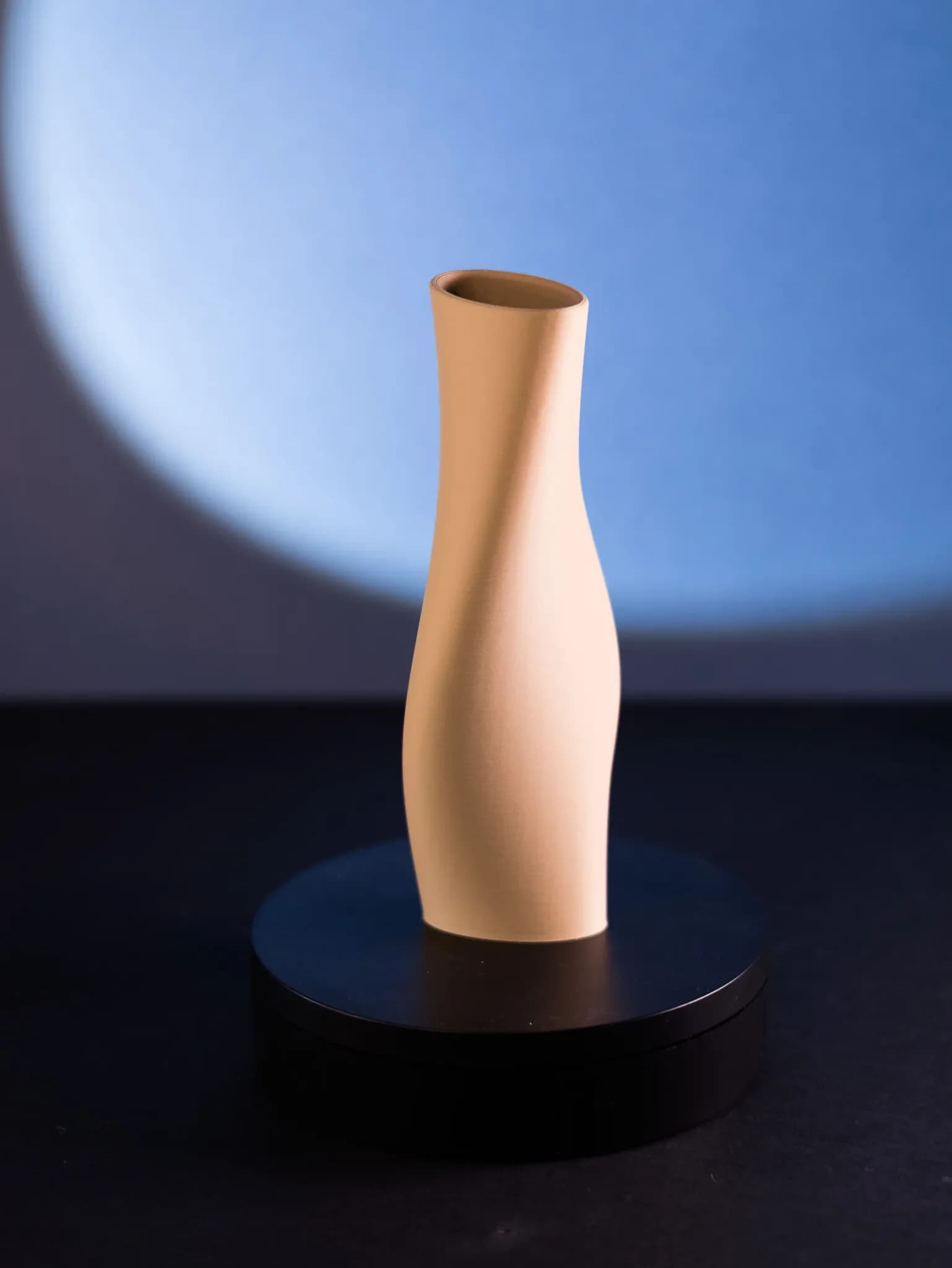 Organic Flow Twist Vase, photo 1 of 4