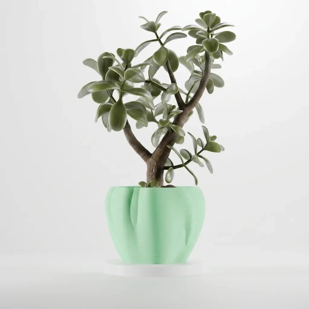 Organic Curves Planter, photo 3 of 4