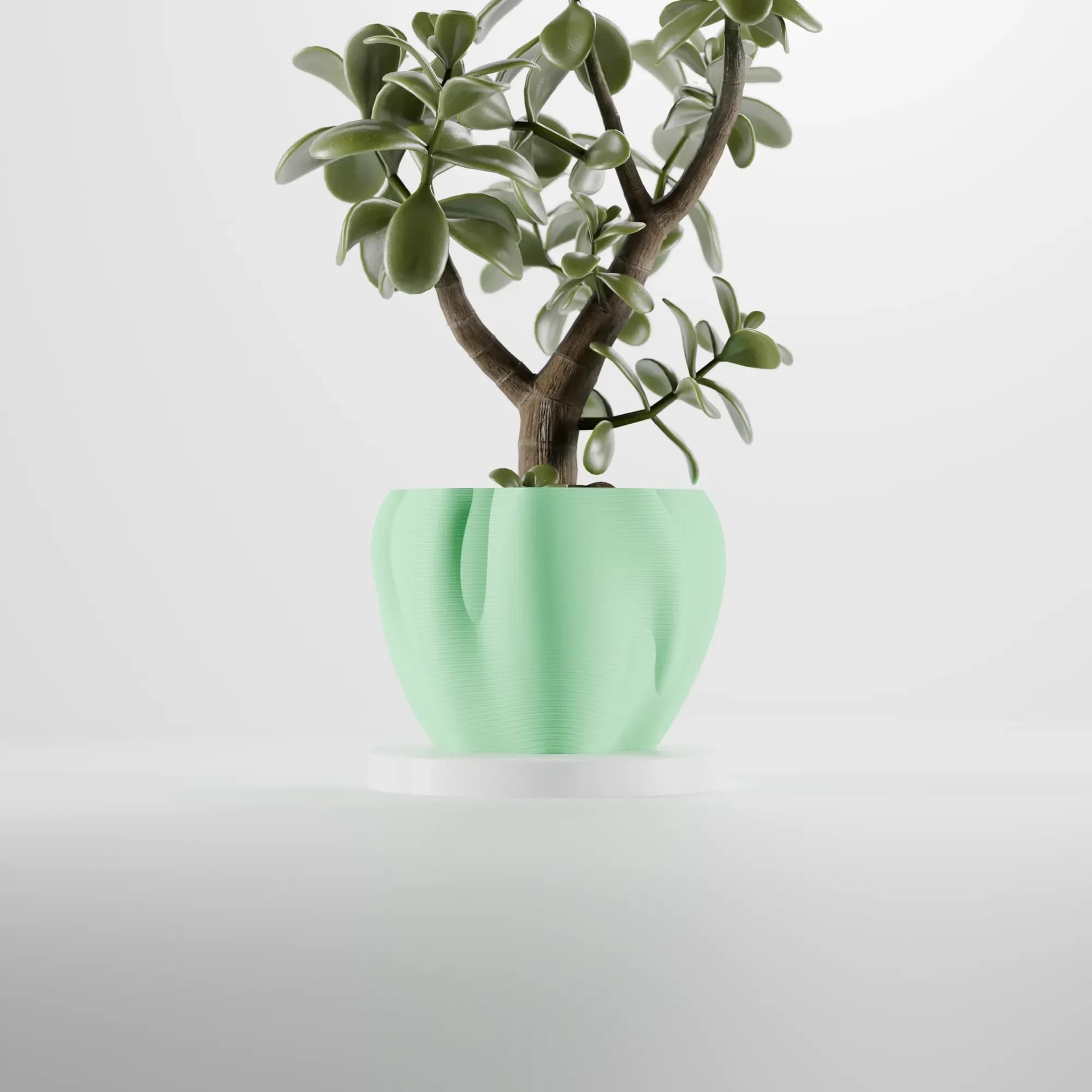 Organic Curves Planter, photo 2 of 4